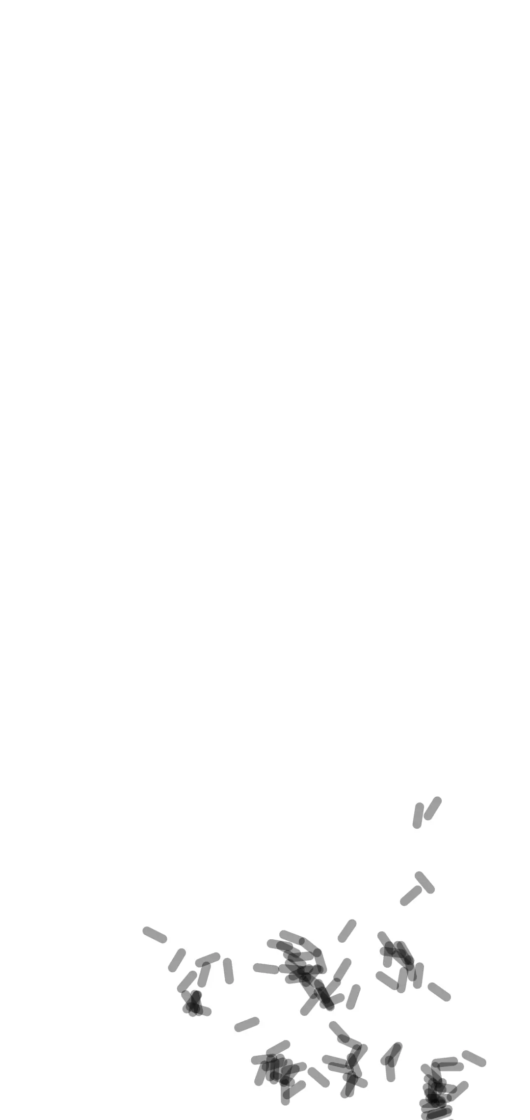 Flutter bacterial growth: Rotated bacteria Flutter bacterial growth: Rotated bacteria